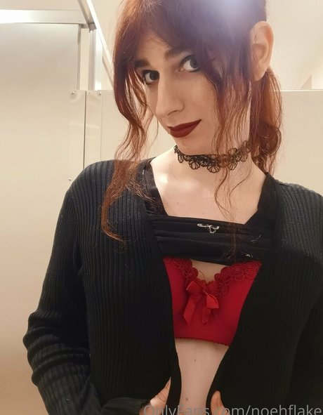 noehflake high quality model archive