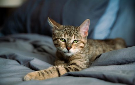 ballet onlyfans hot picture