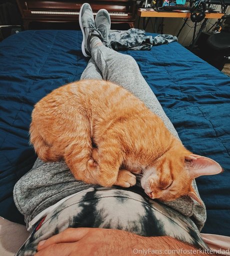 fosterkittendad art actress galleries