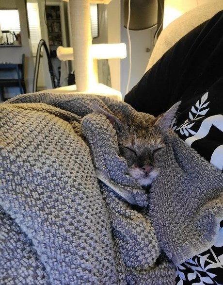 big white booty onlyfans sexy nude pic