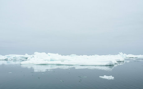 iceicelady pornstar perfect pictures