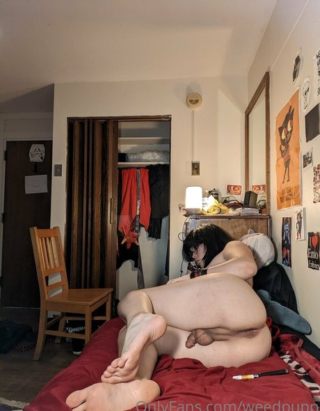 weedpupp pornstar sexy archive