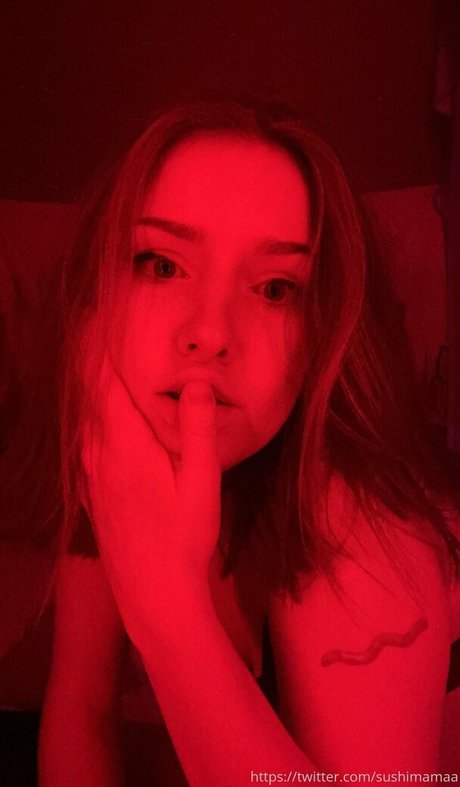 Sushimama model top photo