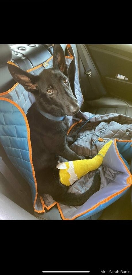 thesarahbnkx model naked pic