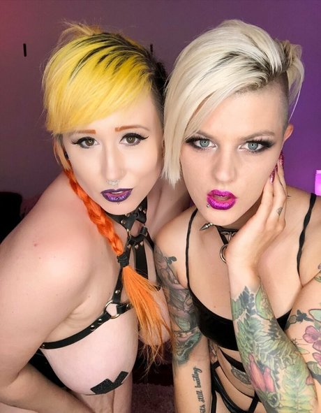 dicentra6 top star image