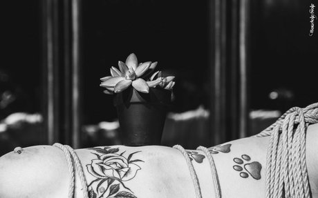 snaccs1zed top actress galleries