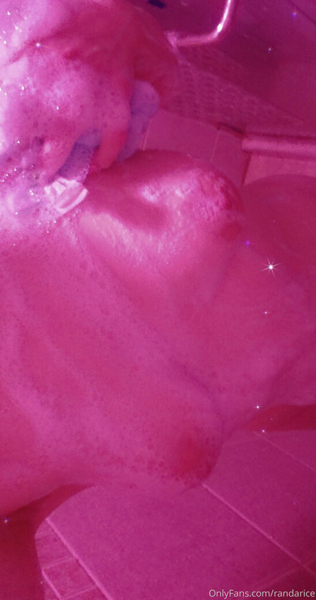 randarice art star gallery