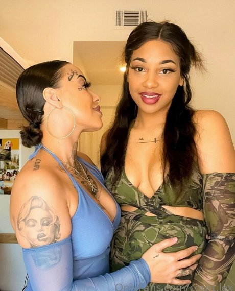 court lex hd star pictures