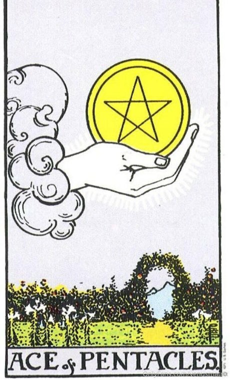 transgender onlyfans adult gallery