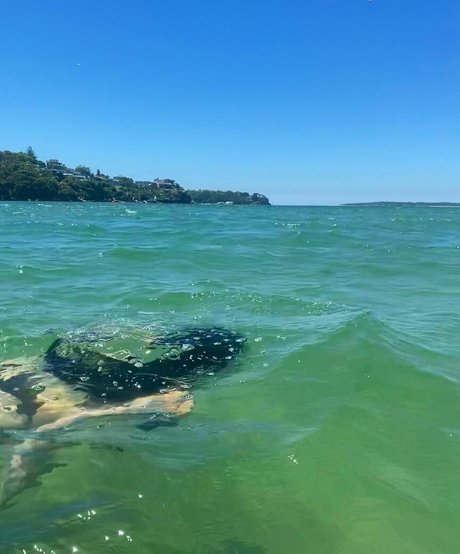 gay twink onlyfans sexy nudes pic