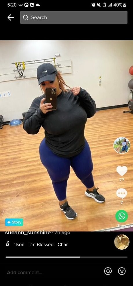 SueAnn star art images