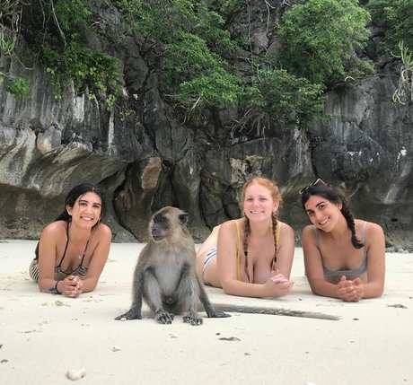 pattaya ladyboy onlyfans best archive