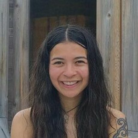 Nic Roams Van Life star erotic gallery