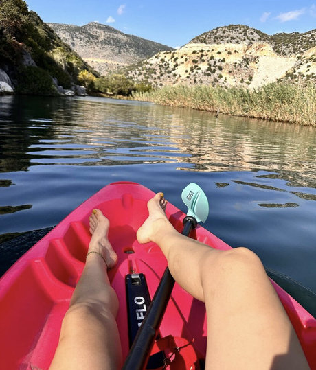 mrv lms star adult gallery