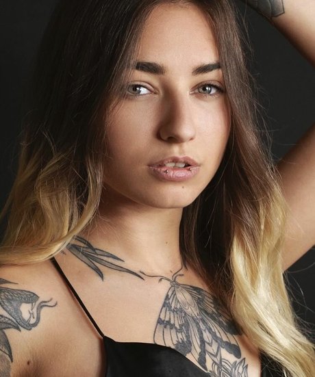 pandatylr star top galleries