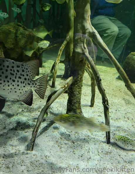 ballet onlyfans top archive