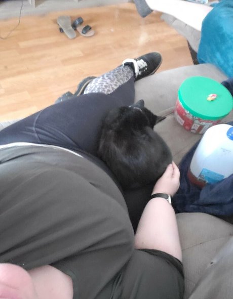 pandafluff1137 sex model pics