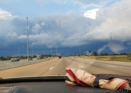 pandafluff1137 pornstar sexy pic