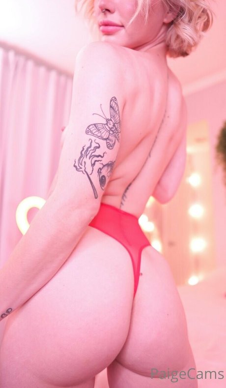 paigecams high quality star img