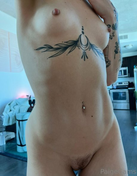 paigecams pornstar art pictures