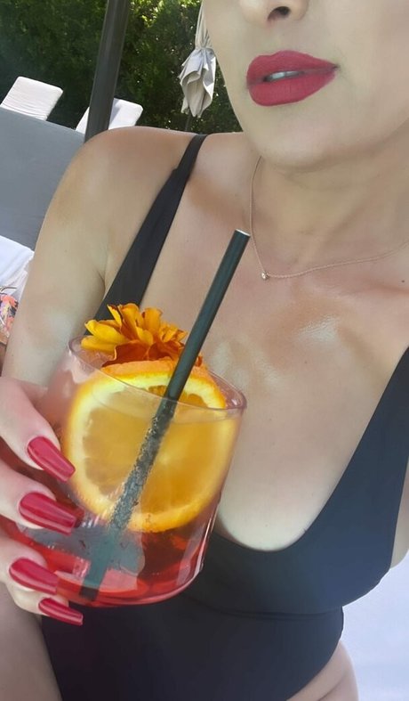 The Bella Twins_ free star galleries