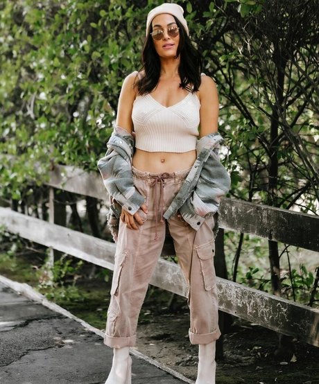 The Bella Twins_ star porn picture