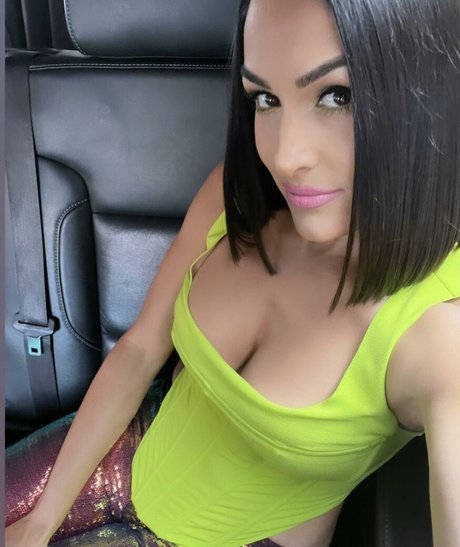 The Bella Twins_ nice pornstar images