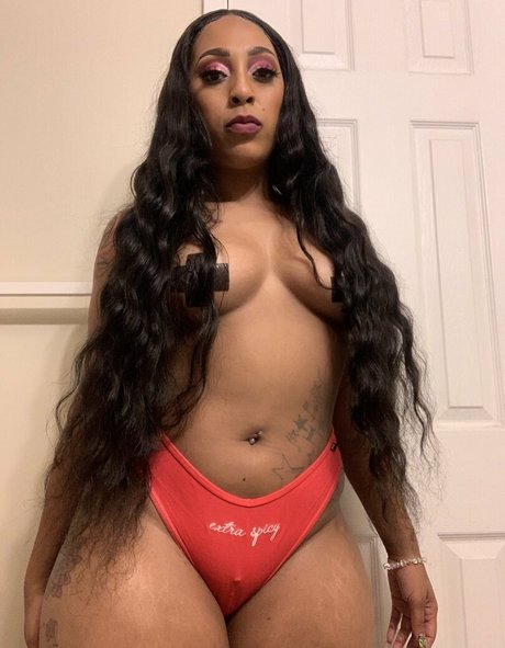 purkissess high quality star img