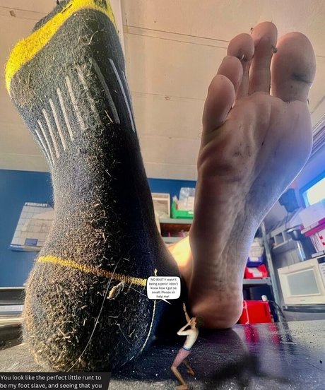 macrocole best star pictures