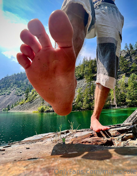 macrocole model top photo