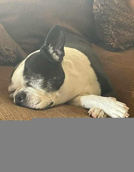 wet panties onlyfans hot archive