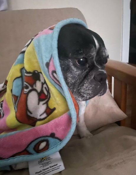 blowjob threesome onlyfans sexy nude galleries