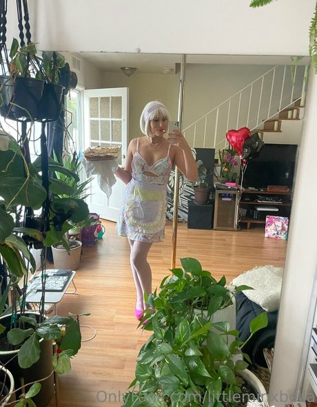 littleminxbella pornstar nude photos