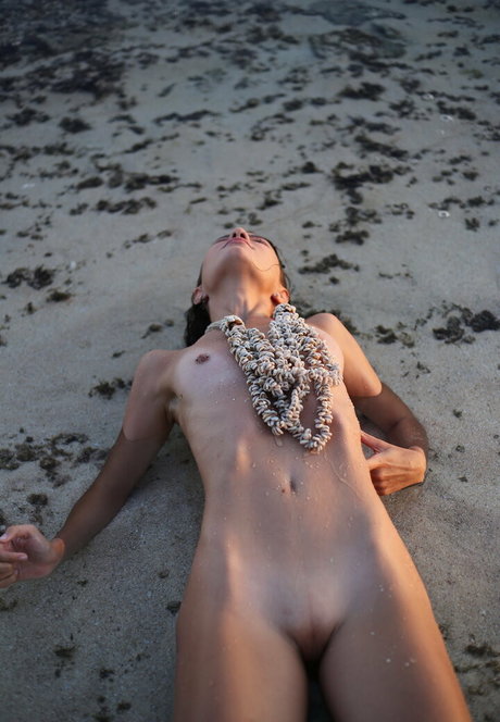 grilled avocadoz pornstar sex pics