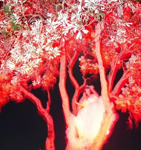 Zheani Sparkes pornstar top picture