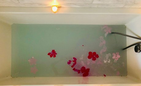 wife blowjob onlyfans hot galleries