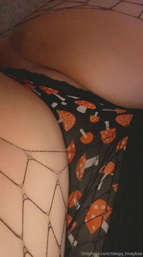 sleepy hneybee model top picture