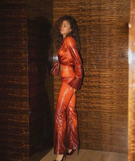 Zendaya star nudes pictures