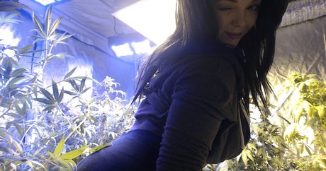 pegging onlyfans nude pic