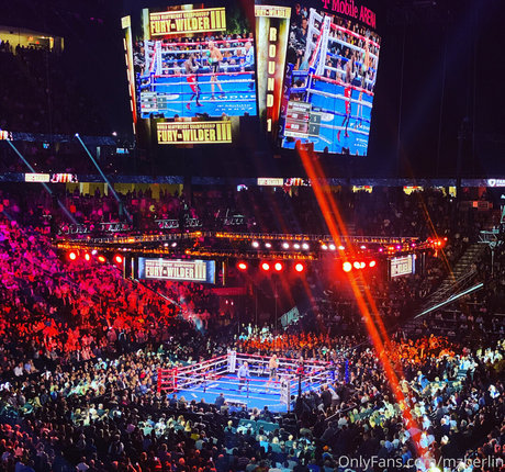 mzberlin star art gallery