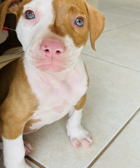 gym workout onlyfans hot naked pictures