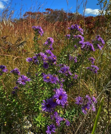 prison onlyfans hot porn pics