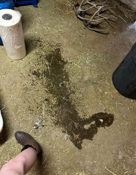 hottest young onlyfans hot sex img