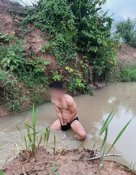 firststepforman star perfect archive