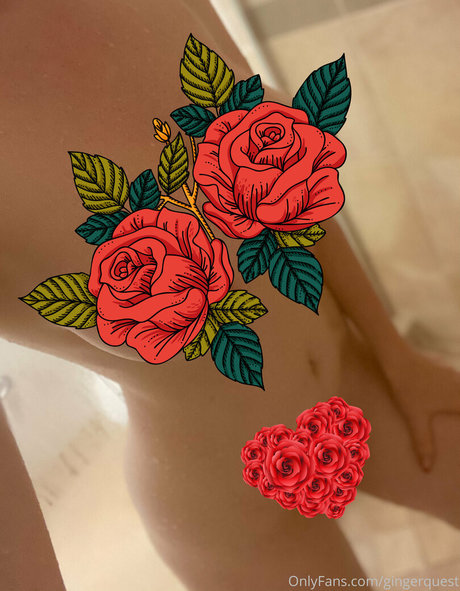 gingerquest star top galleries