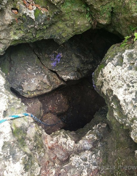 shasha meow best model photos