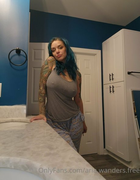 aria wanders free pornstar nude pictures