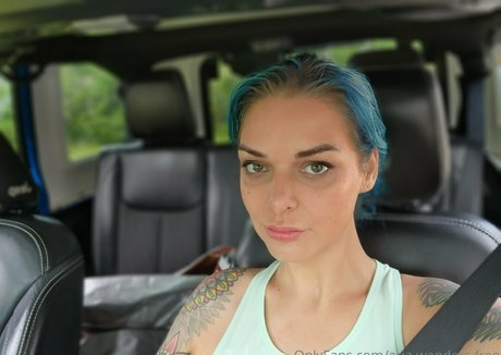 aria wanders free Images