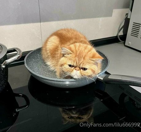 lilu666999 pornstar sexy photos