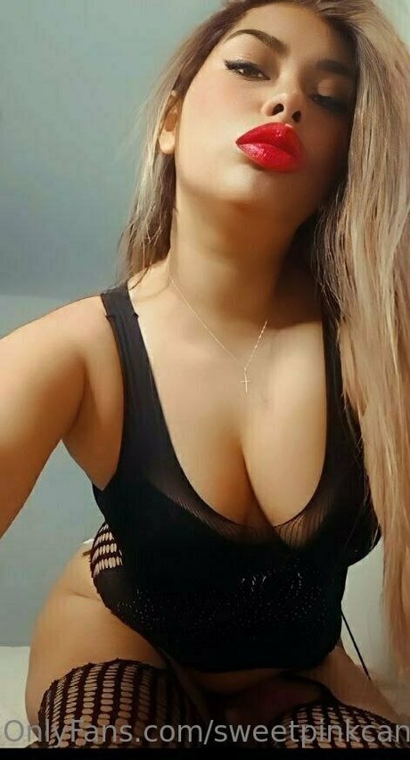sweetpinkcandy1 perfect pornstar pictures